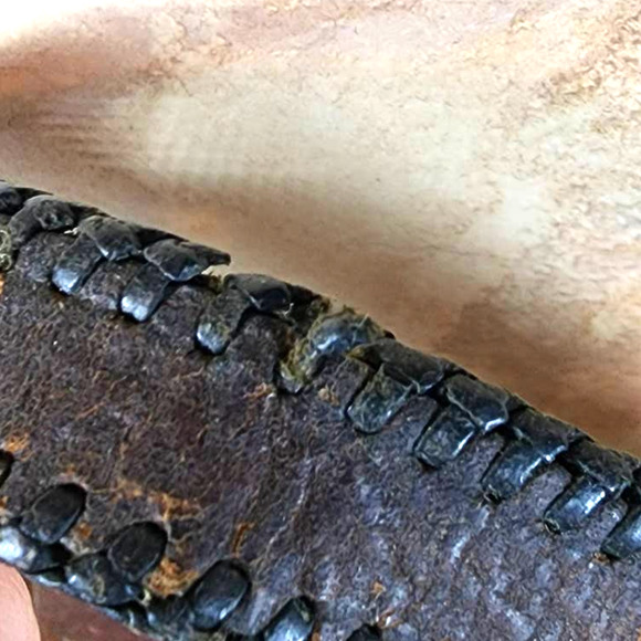 Vintage Hand Tooled Leather Purse Metal Clasp Early 1900s Art Nouveau Antique - Picture 6 of 8